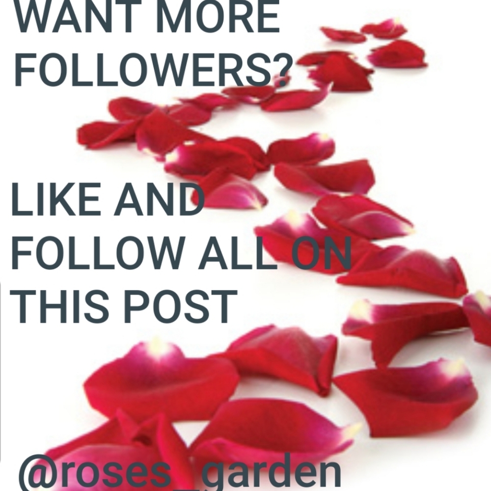 WANT TO GAIN MORE FOLLOWERS?AND MAKE MORE SALES!!!
